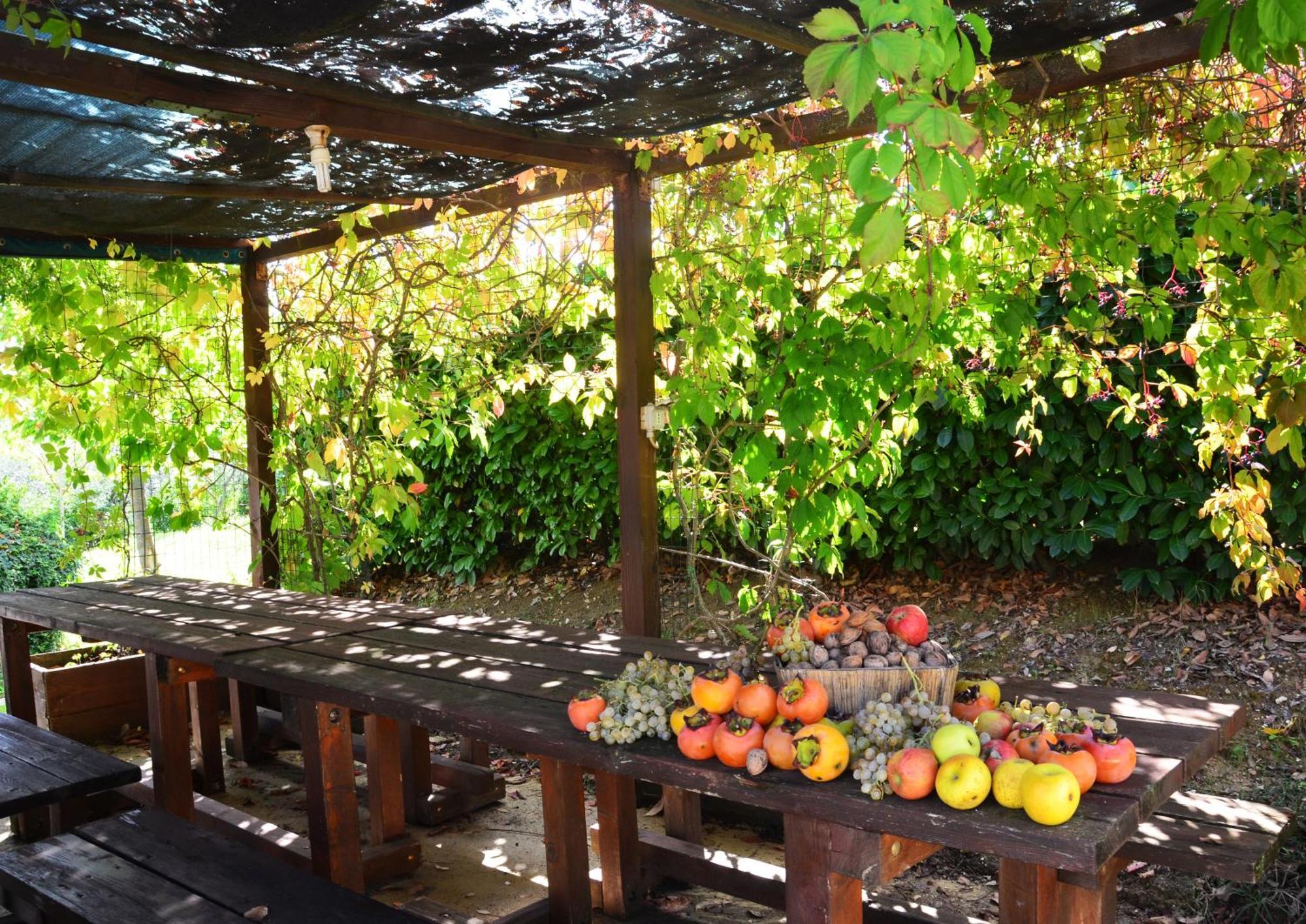 Country House Nonna Rana Cannara Экстерьер фото